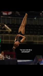 Image result for Harlequins Gymnastics Club