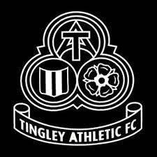 Image result for Tingley Athletic