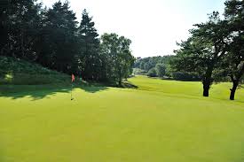 Image result for Crowlands Heath Golf Club