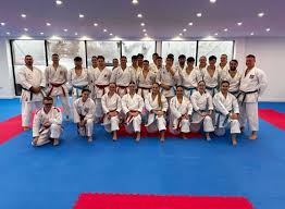 Image result for Norfolk Karate