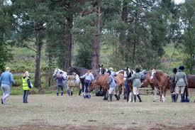 Image result for Elstead Riding Club