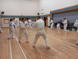 Image result for Taunton Karate academy