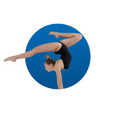 Image result for Arabian School Of Gymnastics, Milton Keynes