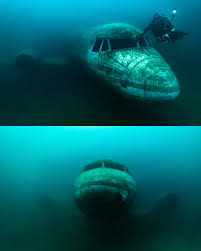 Image result for Droylsden Sub Aqua Club