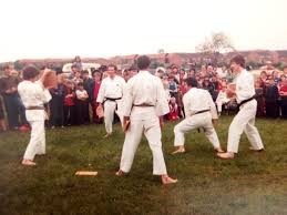 Image result for Thames Valley Shotokan Karate