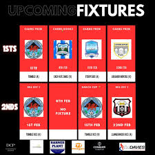 Image result for Caerbryn Association Football Club