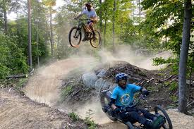 Image result for Epping Forest Mountain Bike Club