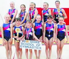 Image result for Wiltshire School Of Gymnastics