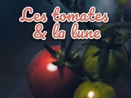 Afbeeldingsresultaat voor grubbs mystery green tomato