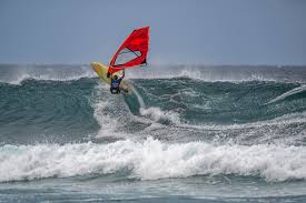 Image result for Aloha Sailboards