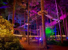 Image result for The Go Ape Experience (Swinley Forest)
