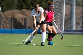 Image result for Sudbury Hockey Club