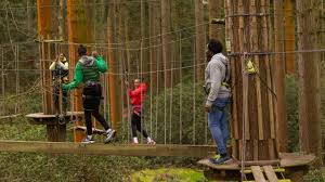 Image result for Go Ape! Dalby