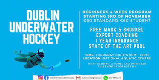 Image result for Dublin Underwater Hockey Team