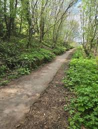 Image result for Lytchett Manor Smbc