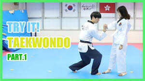 Image result for Tkd Self Defense