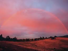 Attēlu rezultāti vaicājumam “Red Rainbows”