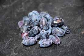 Attēlu rezultāti vaicājumam “Lonicera caerulea var. pallasii fruit”