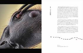 「海老沢和生」の画像検索結果