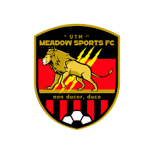 Image result for Meadow Sports Badminton Club