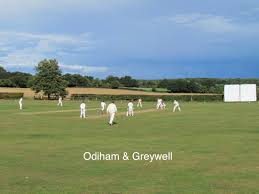 Image result for Odiham & Greywell Cricket Club
