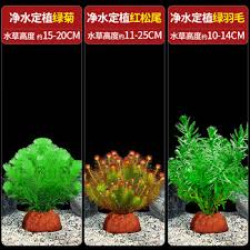 「綠羽毛」的圖片搜尋結果