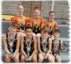 Image result for Kestrel Gymnastic Group