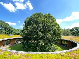 Image result for British Horse Society