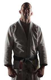 Image result for Revolution Dojo