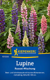 Image result for Lupinen
