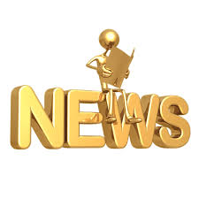 Sign up to New Forest Activities Newsletter