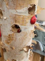 Image result for ladybug house