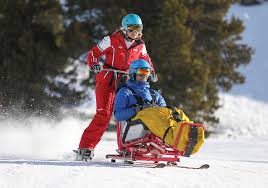 Image result for British Ski Club For The Disabled
