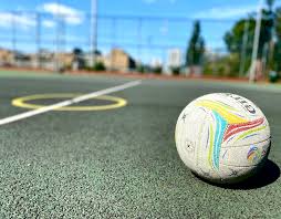 Image result for Lawn Netball Club