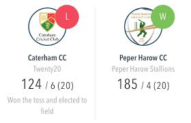 Image result for Peper Harow Cricket Club