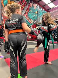 Image result for NEMESIS MARTIAL ARTS & FITNESS
