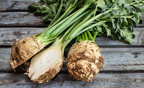 Image result for Sellerie