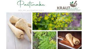 Image result for Pastinake