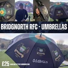 Image result for Bridgnorth Cricket Club