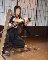 Image result for Hertfordshire Iga Ryu Ninjutsu