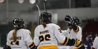 Image result for Cardiff Comets Ladies Ice Hockey