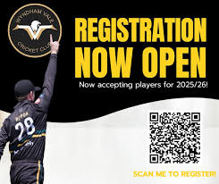 Image result for Wandham Cricket Club