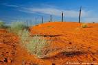 Dingo Fence near Cameron Corner Image | Fine Art Landscape and ...