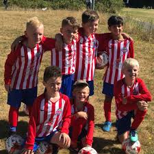 Image result for Old Wulfrunians Hockey Club