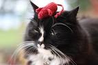 Knitting Patterns