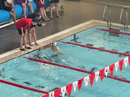 Image result for Loftus Dolphins Swimming Club