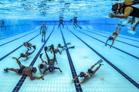 Image result for TAROT Octopush Club