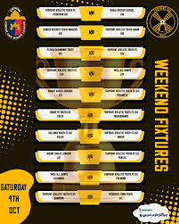 Image result for Torpoint Athletic Football Club