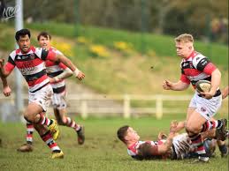 Image result for Dings Crusaders Rugby Football Club