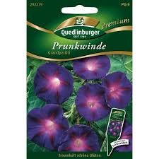 Image result for Prunkwinde